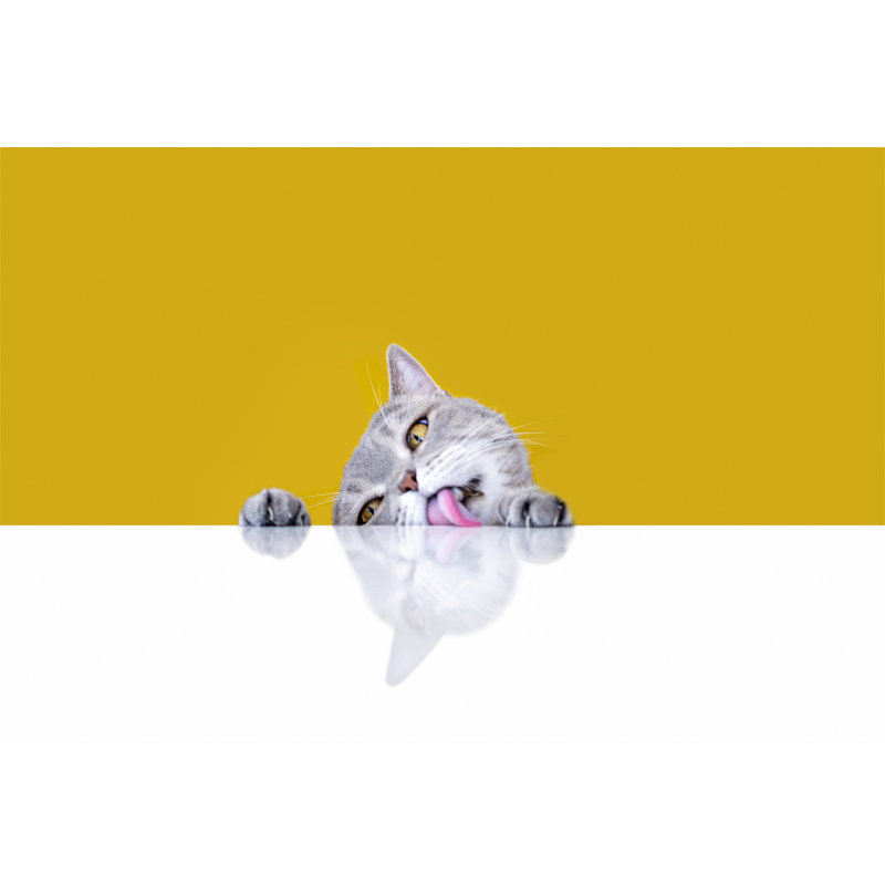Cat Licking The Table - Wrapped Canvas Print, 51cm H x 76cm W x 3.8cm D