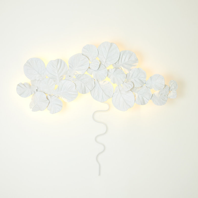 Fiddle 18 - Light Design Wall Light, Chalk White