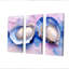White Pink Marbled Oysters II - Seashells Wall Decor Set-107182830-107182836