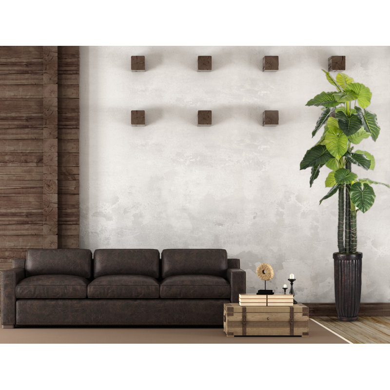 Arbre d'oreille intérieur / extérieur Panama
