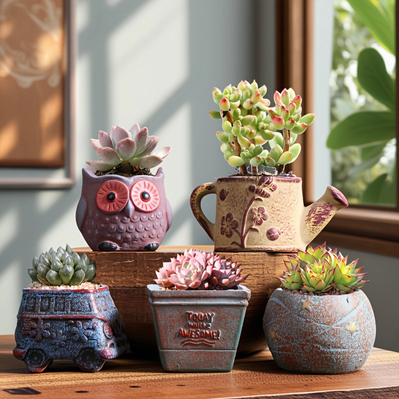 5 petits pots