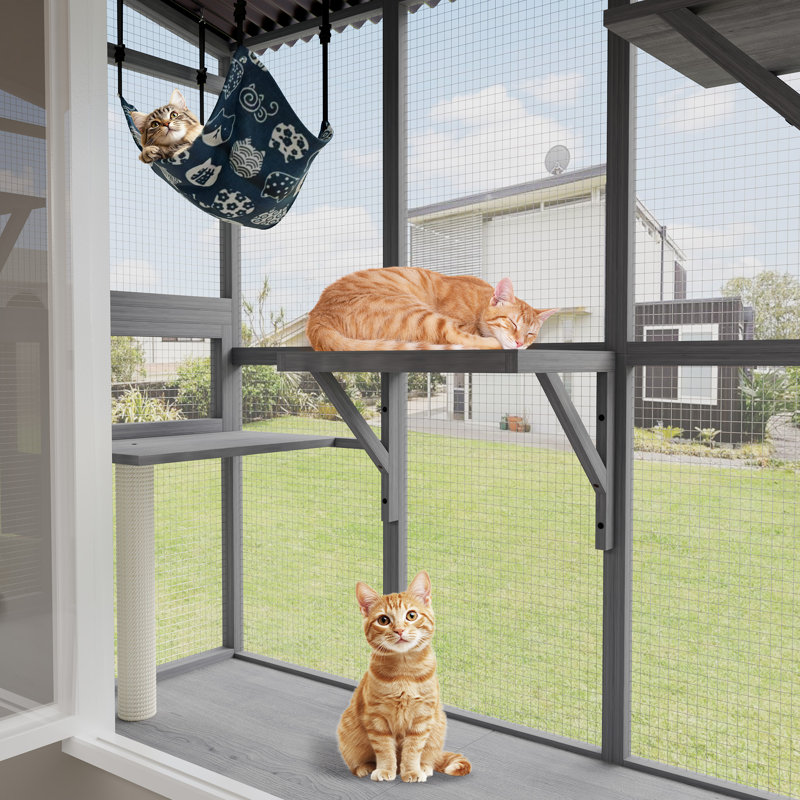 Enceinte de fenêtre extensible pour plusieurs chats d'intérieur, perchoir pour chat avec 3 plateformes et hamac, toutes saisons