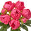 Ensemble de pivoines 11 po-1718133473