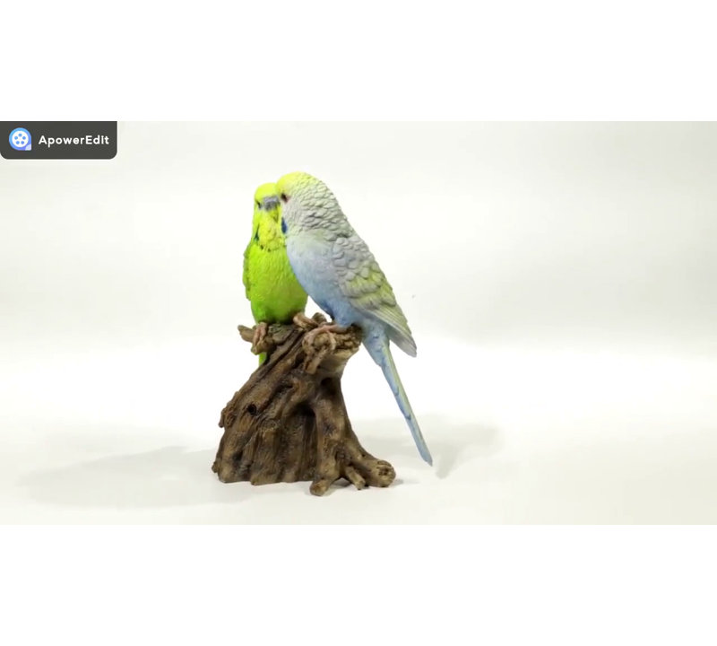 Motion Activated Singing Budgerigar Couple on Stump