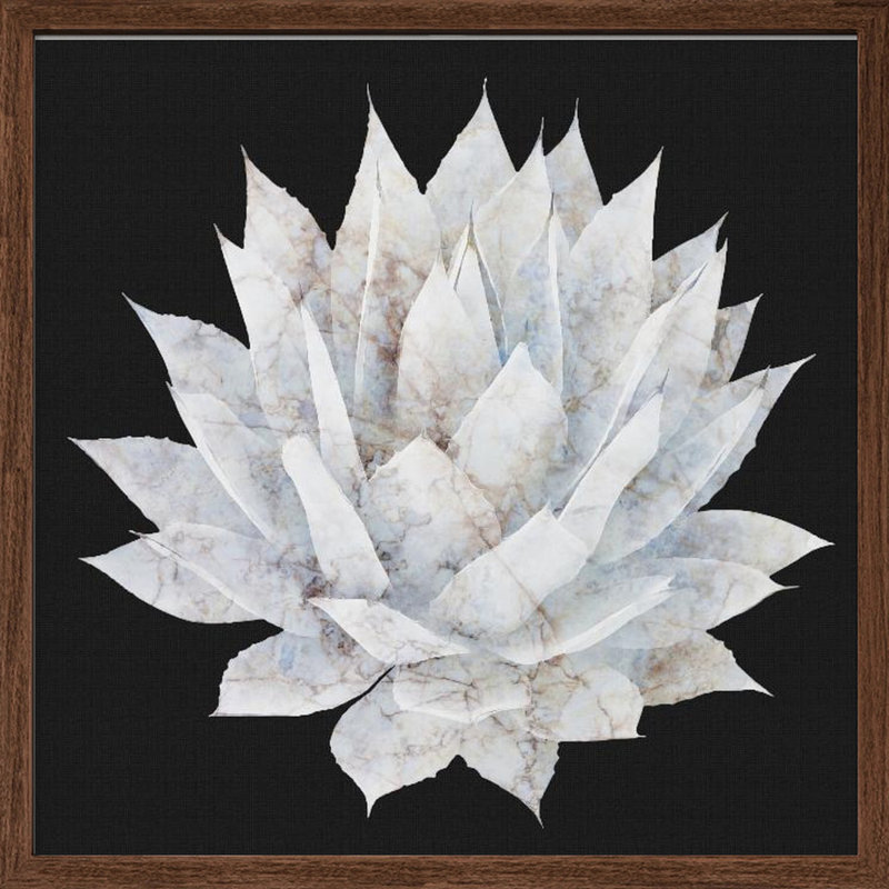 "Agave Agave", art mural texturé encadré, Noyer, H 30 po x l 30 po