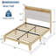 Base de lit Boucle, base de lit avec lumière à DEL RVB et station de charge, tête de lit à 2 niveaux et support de lattes en bois robuste, aucun sommier requis, assemblage facile-1399210700-1399210703