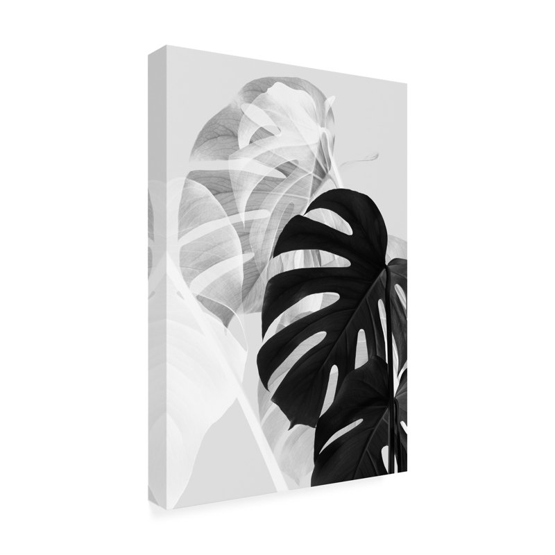 Art sur toile, noir et blanc, pictufy studio III, H 47 po x l 30 po