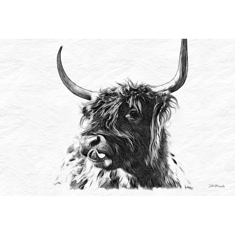 S Croquis Highland II par Dakota Diener, H 8 po x l 12 po x P 1,25 po