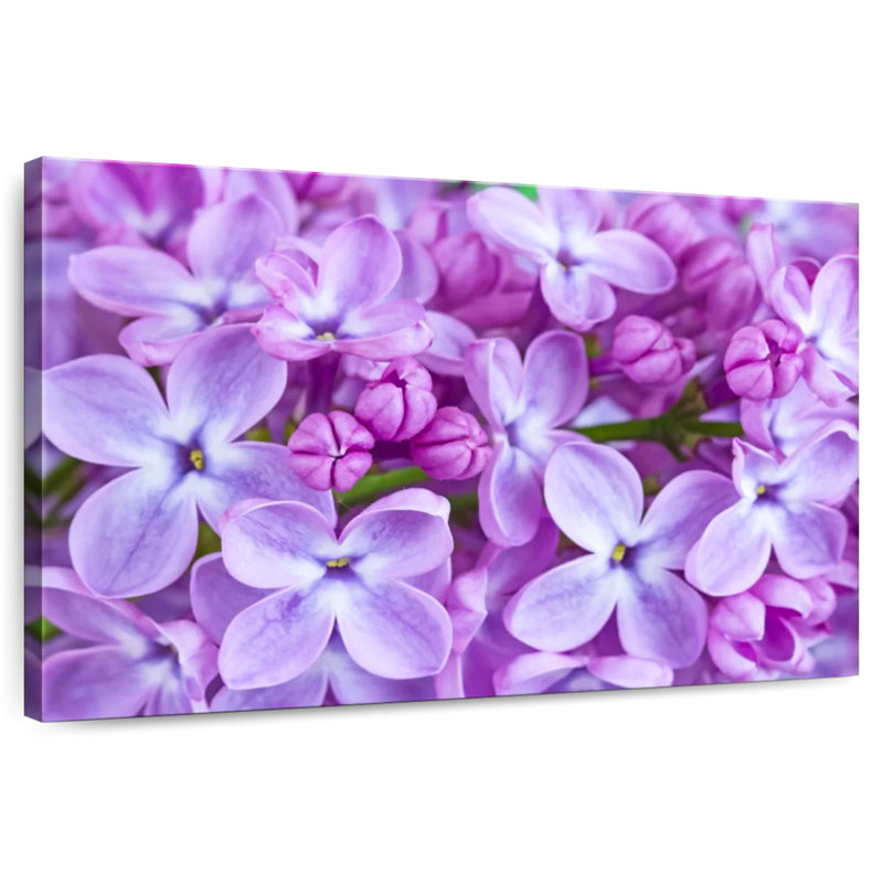 Harnek Blossoming Lilac Flowers