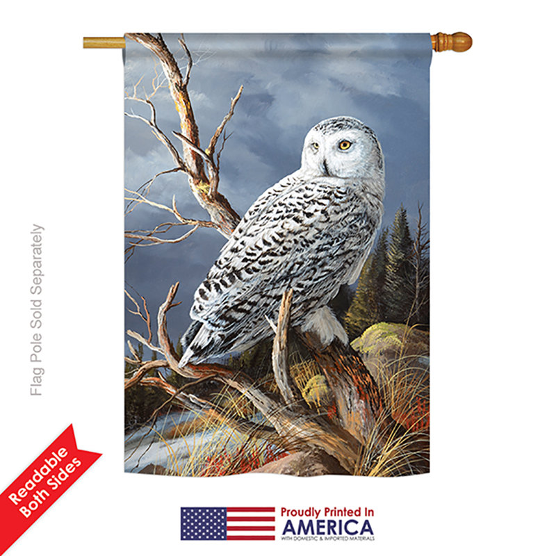 Drapeau de jardin en polyester 3,3 x 2 pi 3 pi Beeney