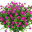 Arrangement mixte-1438405911