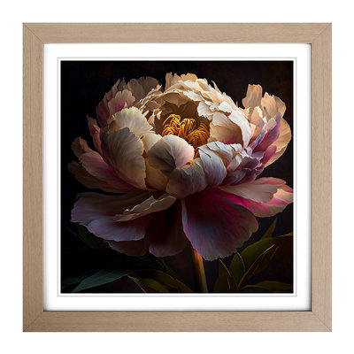 Peony Flower Expressionism - Framed Print