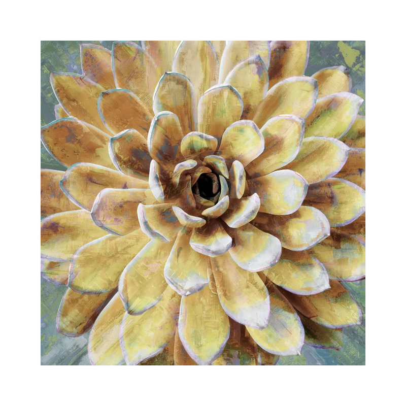 Succulent II by Lindsay Benson - Wrapped Canvas Painting, 30.48 cm H x 30.48 cm W