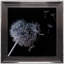 Single Picture Frame Print-33580266