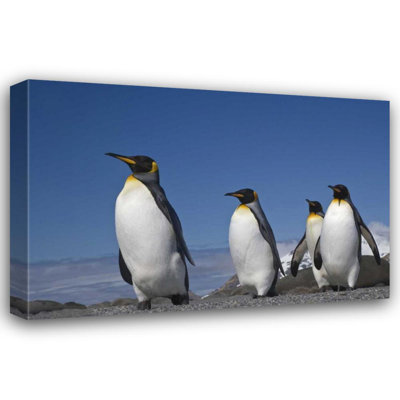 Reproduction d'art sur toile Beachcrest Home ™ Paulson, Don, South Georgia Island King penguins marcher