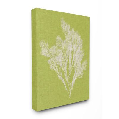 Coral Seaweed Green White Beach - Print