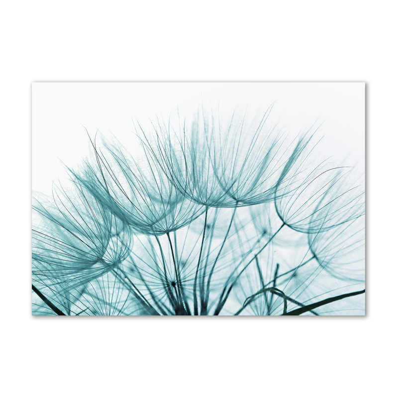 Dandelion Seeds - Wrapped Canvas Print