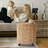 Cuaron Rolling Laundry Hamper with Handles-804359946