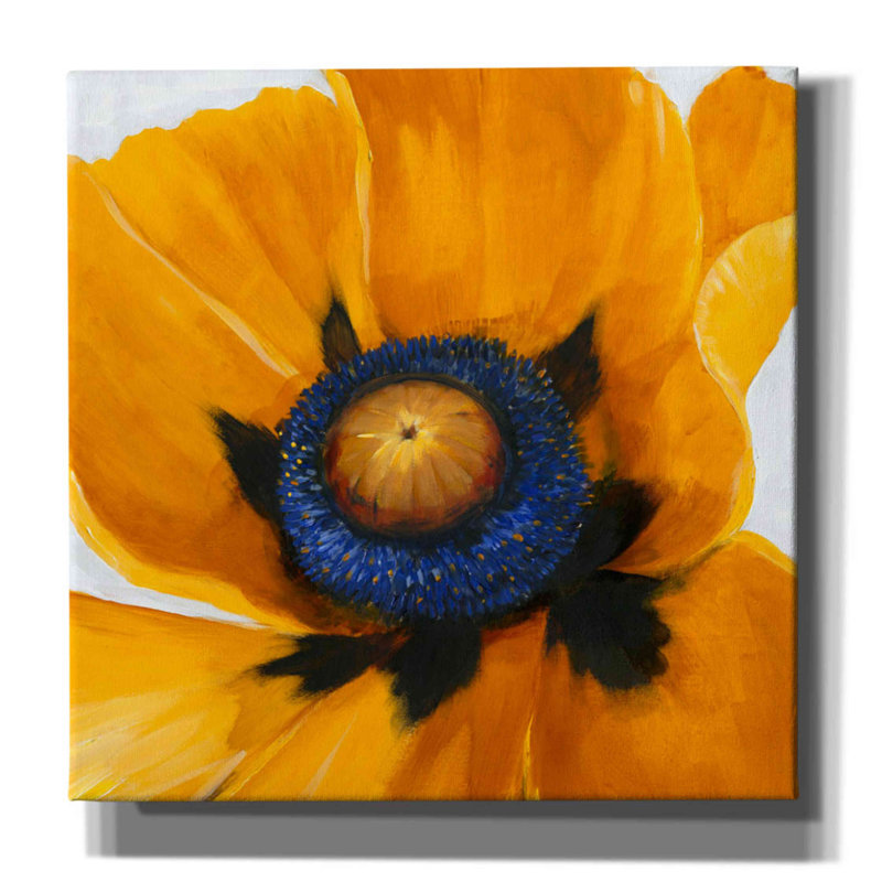 «Close-Up I» par Tim O'toole, art mural sur toile, H 12 po x l 12 po x P 0,75 po