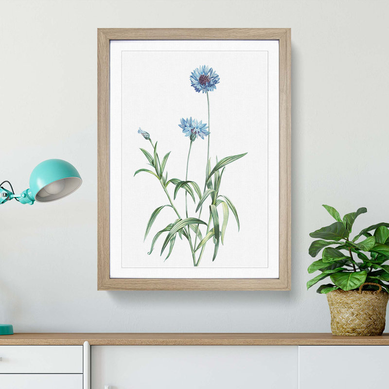 Cornflowers in Blue by Pierre-Joseph Redoute - Picture Frame Painting Print, Oak Framed, 65cm H x 48cm W x 2cm D