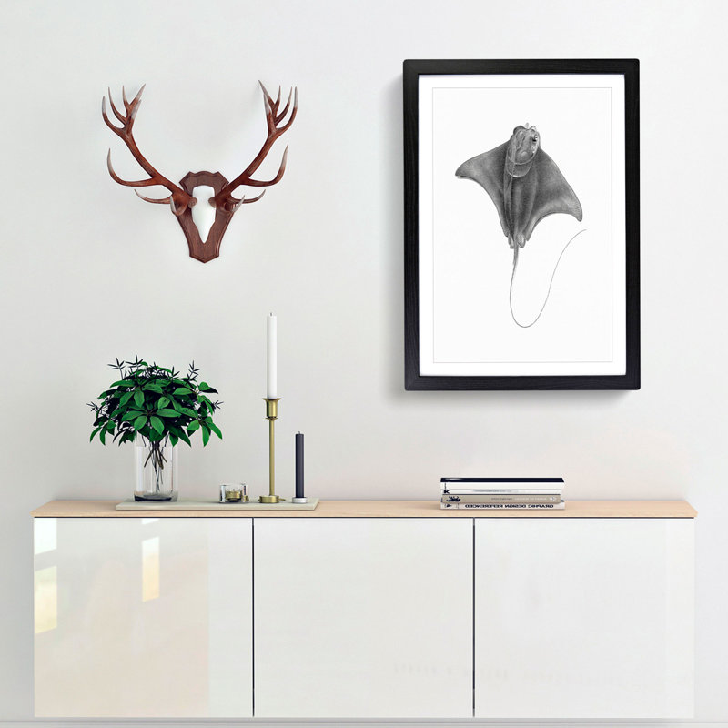 Illustration of a Ray Fish - Picture Frame Drawing Print, Black Framed, 48cm H x 36cm W x 2cm D