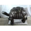 Statue tortue géante en aluminium NIFao - Sculpture intérieure et extérieure de jardin et décoration - 49 po x 30 po x 32 po