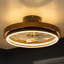 Farmhouse Ceiling Fan With LED Light Fandelier