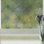 Abstract Non-Wall Damaging Window Decal