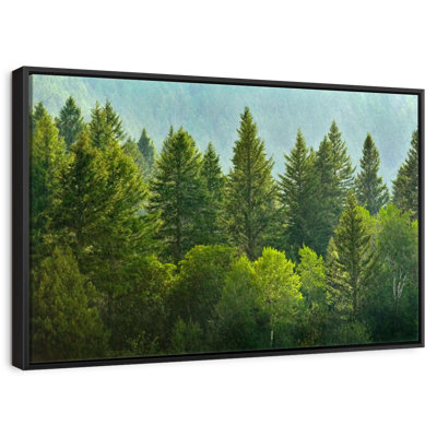 Lush Green Pine Trees