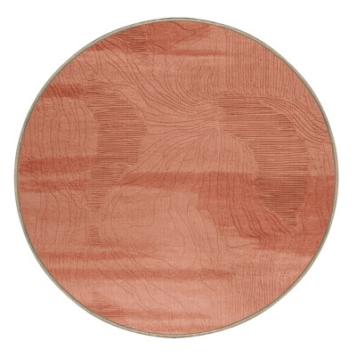 Machine Washable Abstract Brown Area Rug