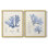 Algue bleue bleue - reproduction encadrée de qualité supérieure - prête à être accrochée - aucun clou requis - aucun clou requis