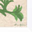 Folly In Green Giclee Print by Dana Gibson