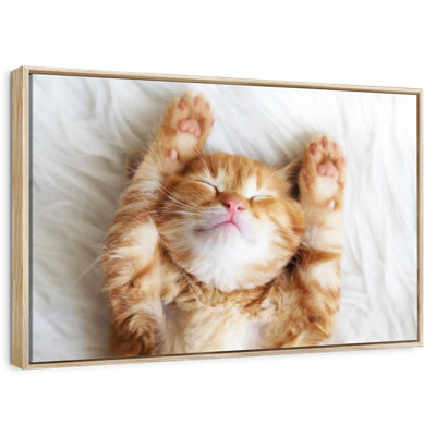 Sleepy Kitty