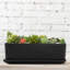 Pot Planter