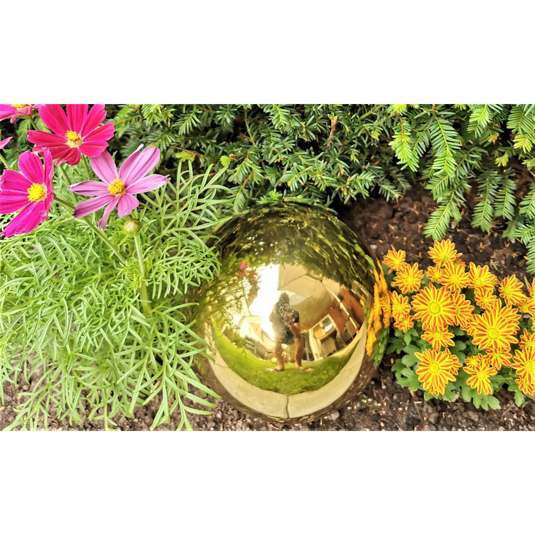 Chaitan Stainless Steel Gazing Ball