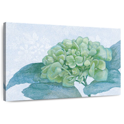 Harnek Blue Hydrangea I