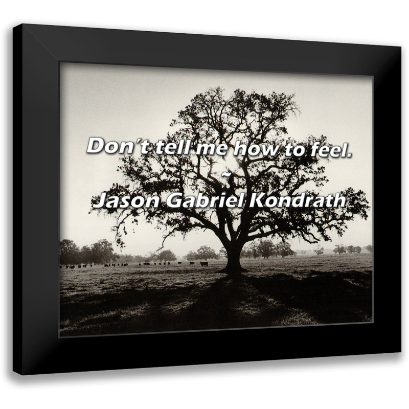 Jason Gabriel Kondrath Quote: Don’t tell me how to feel.