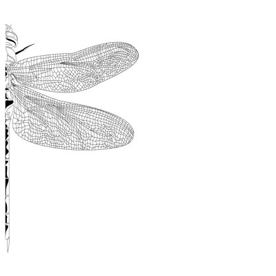 Syphers Dragonfly Insect par Zozodesign