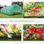Lirra Traditional Heavy Duty Polytunnel Greenhouse With UV Resistant Cover And Roll-Up Doors