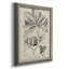«Antique Black & White Botanical VI», reproduction d'art sur toile encadrée-672315484