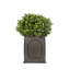 Berenice Handmade Pot Planter-14486353-48478046