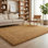 Ainsley Plain Living Room Shaggy Area Rug Modern Soft Pile Polyester Rug