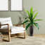 4-Foot Dracaena in Patterned Copper Planter
