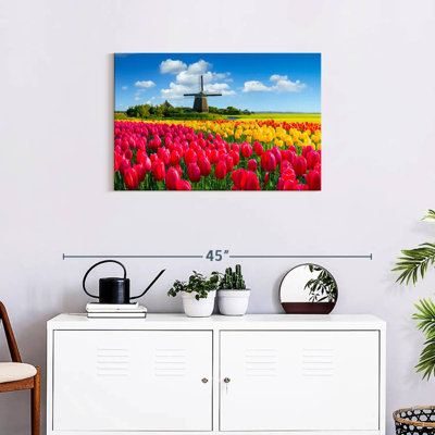 Champ de tulipes Alvord Holland