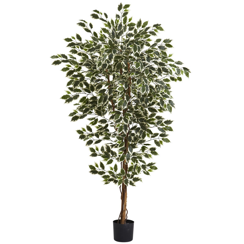 Arbre de ficus artificiel 72" en pot de fleurs
