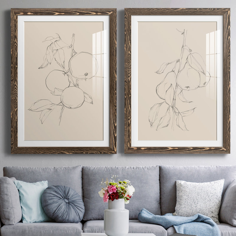 Fruit Contour Study I Premium encadré mat - prêt à être suspendu, H 20 po x l 34 po x P 1,5 po, Encadré de bois de noyer