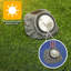 Solar Powered Pathway Light