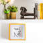 Nicola Spring - 3D Deep Box Photo Frames-79052610-79052606