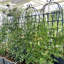Ensemble de 4 treillis de jardin en métal 71 po x 19,7 po, support pour plantes d'extérieur antirouille, noir, facile à construire, fabrication en tube galvanisé de 19,7 po