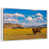 Floating Frame White